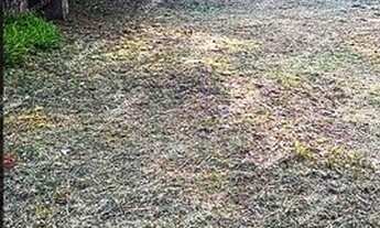 Imagem 5: Excelente chácara Sem Benfeitorias