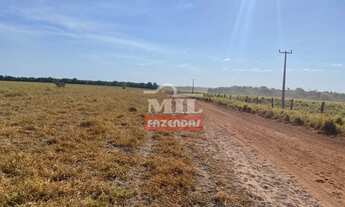 Imagem 5: Fazenda em Carolina - MA. 4.808 Há. (Dupla Aptidão
