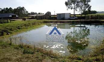 Imagem 3: Fazenda com 3 dormitórios à venda, 871200 m² por R$ 6.500.000,00 - Centro - Guapirama/PR