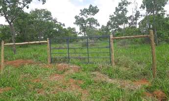 Imagem 2: Passo Fazendinha 20.000m2 com excelente preço em Cordisbugo Urgente