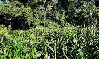 Imagem 2: Sitio - Bairro Carazal