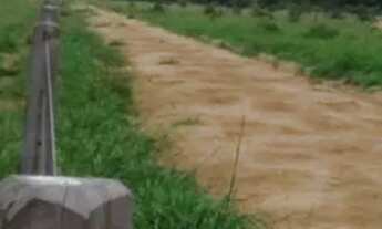 Imagem 7: Fazenda para Venda em Setor Central Santa Rita do Tocantins-TO - 3027