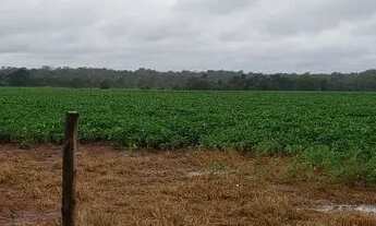 Imagem 3: FAZENDA EM ARAGUAÇU 97 ALQUEIRES