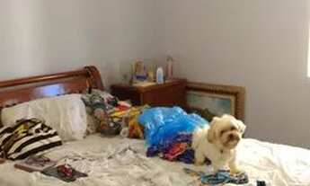 Imagem 3: Apartamento para venda possui 110 metros quadrados com 3 quartos em Boa Viagem - Recife