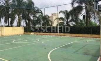 Imagem 4: Apto 2 dorms,1 vaga,55m²