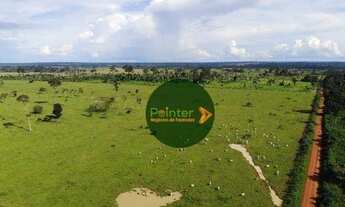 Imagem: Fazenda à venda, 1.000 hectares por R$