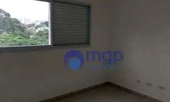 Imagem 4: Apartamento com 1 dormitório para alugar, 24 m² por R$ 800,00/mês - Vila Guilherme - São P