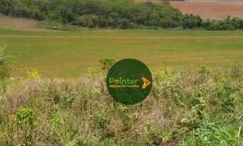 Imagem 7: Fazenda à venda, 10696400 m² por R$ 95.000.000,00 - Zona Rural - Palestina de Goiás/GO