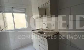 Imagem 2: Apartamento 1 dormitório e 1 banheiro sem vaga de garagem , para locação na Vila Mascote