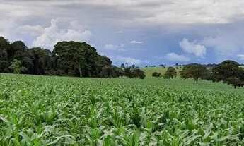 Imagem 5: Chácara de luxo em Trindade-Go 7.68 alqueires