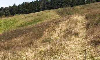 Imagem 2: Lote/Terreno para venda com 500 metros quadrados em Centro (Caucaia do Alto) - Cotia - SP