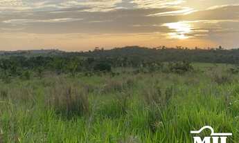 Imagem 2: Fazenda em Goianésia do Pará. > 214 Alq. (1.036 Há