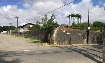 Imagem 5: Excelente Terreno com 4.092m2 de área!! 3 frentes, nascente