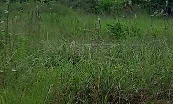 Imagem 2: Vende-se terreno no interior..