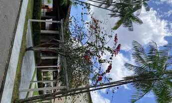 Imagem 7: Biarritz 3/4 na Mário Covas