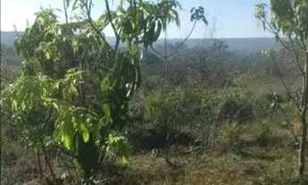 Imagem 4: VENDO OU TROCO Chácara com venda por R$300.000