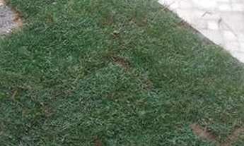 Imagem: Kitnet/conjugada semi-mobiliada prox. Floripa