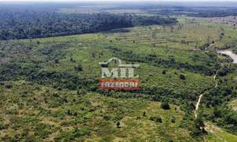 Imagem 5: Fazenda no Pará 465 Alq. (2.250 Há) Baião - Tailândia