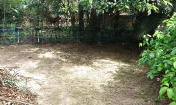 Imagem 5: Tarumã com 1.000 m2 Excelente