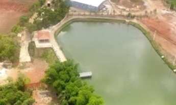 Imagem 3: Chácara de 40.000Mt2 em Indiara - GO