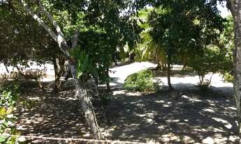 Imagem 5: Excelente área beira BR 216 marechal