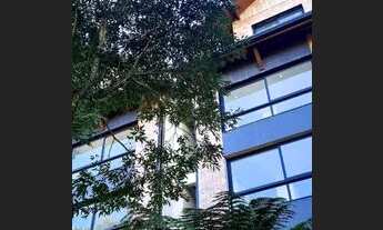 Imagem 4: Apartamento 3 Dormitórios - Bairro Bavária