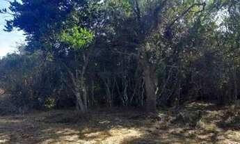 Imagem 2: Terreno com acesso a lagoa