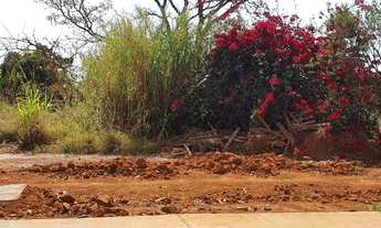 Imagem 3: Lote/Terreno para venda com 2125 metros quadrados em Park Way - Brasília - DF
