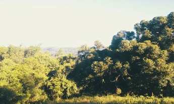 Imagem 4: Sitio - Bairro Carazal