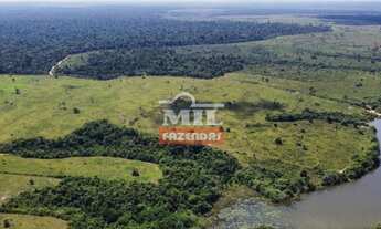 Imagem 7: Fazenda no Pará 465 Alq. (2.250 Há) Baião - Tailândia