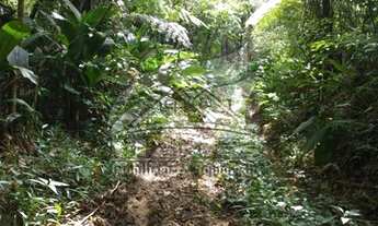 Imagem 5: Terreno Rural para Venda em São Pedro de Alcântara, ROCINHA