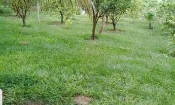 Imagem 3: Chácara para Venda em Presidente Prudente, CHACARA MONTALVÃO, 2 dormitórios, 1 banheiro, 1