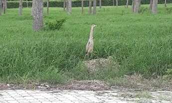 Imagem 4: Haras Camping Club