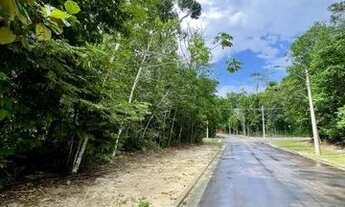 Imagem 5: Lote Alphaville 3