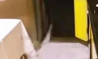 Imagem 3: Sobrado de 3 dormitórios com churrasqueira no Jardim D'Abril, Osasco