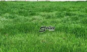 Imagem: Terreno à venda, 441 m² por R$ 160.000