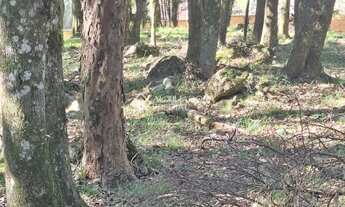 Imagem 3: Terreno em São Virgílio, Caxias do Sul