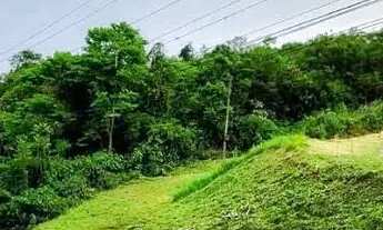 Imagem 3: Terreno para Venda em Nova Petrópolis, Vila Olinda