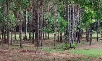 Imagem 5: Chácara em Bela vista