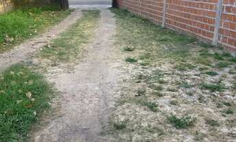 Imagem 4: Casa em salvaterra