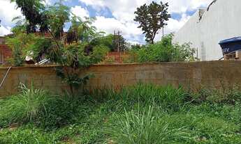 Imagem 3: Lote na fazenda velha