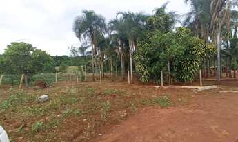 Imagem 6: Ótima propriedade!Oportunidade única