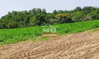 Imagem 6: Fazenda em Cachoeira Alta-GO. (153 Alqueires