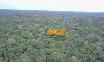 Imagem 2: Vende-se Fazenda com 10.793 hectares na zona rural de Autazes/AM