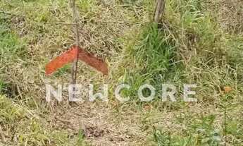 Imagem 4: Lote em Rua São Manoel - Jardim Paulista - Atibaia/SP