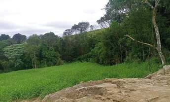 Imagem 6: Terreno com Potencial para Negócios