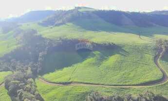 Imagem 4: Propriedade Agrícola 57,5 Ha com Ótimo Preço em Três Palmeiras