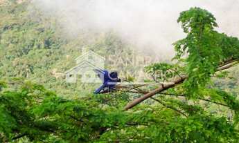 Imagem 3: Sítio para venda em Vargem Grande