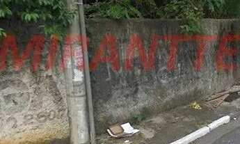 Imagem: Terreno de 2500m² em Vila Progresso