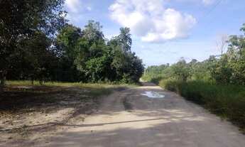 Imagem 7: Sítio na estrada de Novo Airão